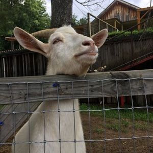 Meet your Posher, Hailey